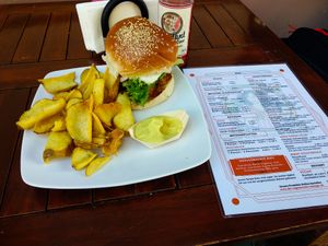 Vegan Burger and Chips at Der Vegetarische Metzger at Der Vegetarische Metzger in Berlin