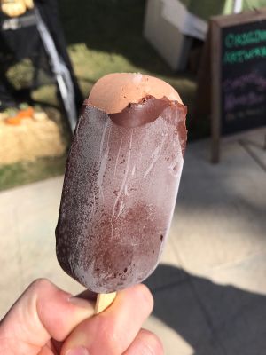 Chocolate Fudge bar at Conscious Creamery in Sacramento