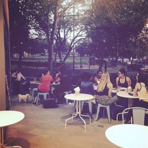 Courtyard overlooking the park at OM Vegan Kitchen in Surry Hills