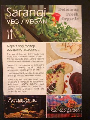 Menu intro at Sarangi Vegetarian Restaurant in Kathmandu