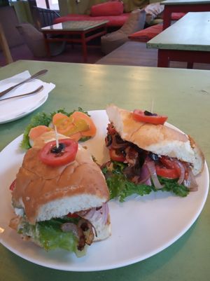 Mediterranean sandwich at Sarangi Vegetarian Restaurant in Kathmandu