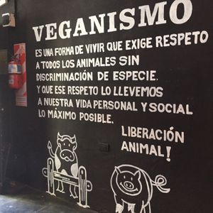 wall art at Rocket bar in Buenos Aires