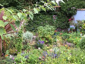 I love the garden! at The Wren's Nest in Dingle