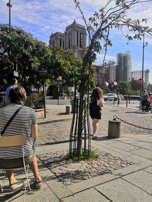 Vistas at Shakespeare and Company Cafe in Paris