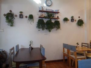 Baba Eating House  at Baba Eating House in Pattaya