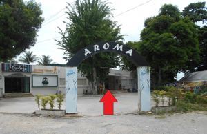 Aroma Indian Food  at Aroma in Pattaya