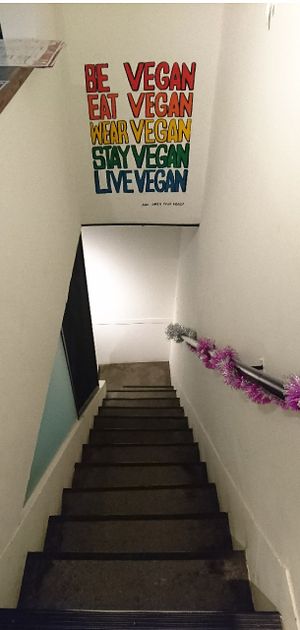   at Tofunia in Taipei