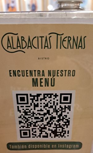 Huge menu 100% plant based at Calabacitas Tiernas Bistro in Zapopan
