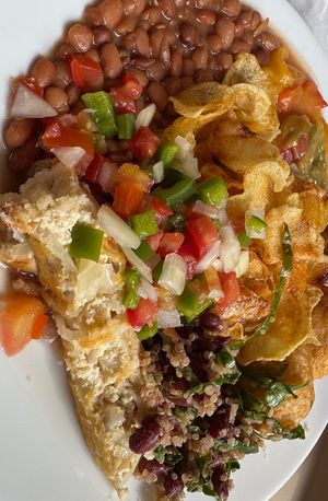  #Veganuary at Reino Vegetal in Rio De Janeiro