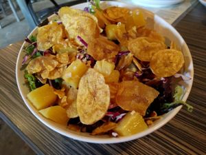 Thai ginger salad at Gourmet Pizza Company in Tampa