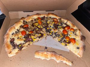 No cheese and lack of ingredients  at Gourmet Pizza Company in Tampa