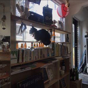 kitty at Mise LMA in Tokyo