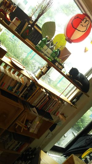 Cat! at Mise LMA in Tokyo