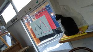 Momo-chan at Mise LMA in Tokyo