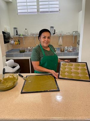  at Ann Wigmore Natural Health Institute in Aguada