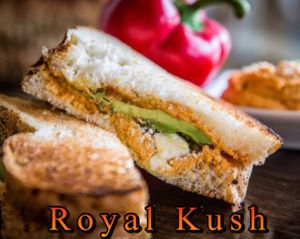   at Joint Venture Sandwich & Smoke Shop in Corpus Christi