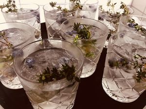 Catering for Adidas at Wildeküche in Berlin