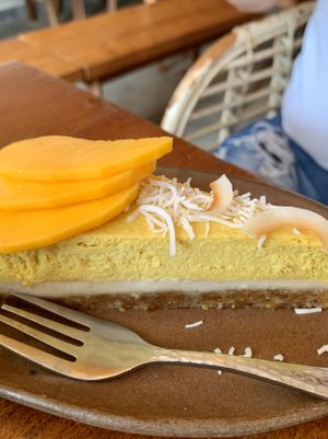 Mango raw cake - delicious!! Not to be missed! at Vibe Cafe in Siem Reap