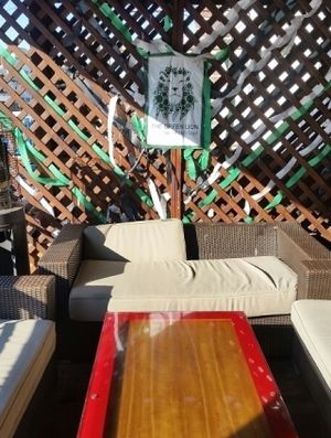 chill out on the balcony at The Green Lion Pub in Rozelle