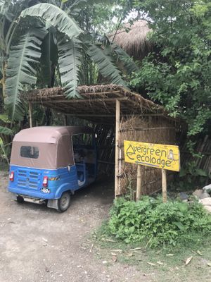 entrance - it’s a little off the main road, look for signs for Rosemary Home at Evergreen Ecolodge in Chitwan National Park