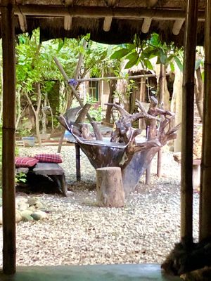 View from restaurant area. at Evergreen Ecolodge in Chitwan National Park