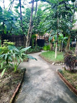 Garden at Evergreen Ecolodge in Chitwan National Park