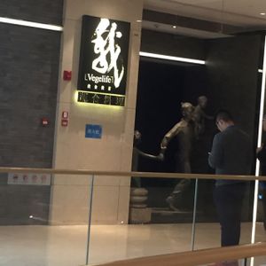 entrance by escalator on 3rd floor.  at Vegelife in Guangzhou