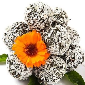 Raw Green Power Balls with herbs, nuts, fruit, seeds and sweetened with dates and stevia. at Lydia's Health Foods in Petaluma