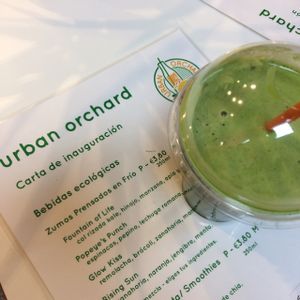 fountain of life at Urban Orchard in Madrid