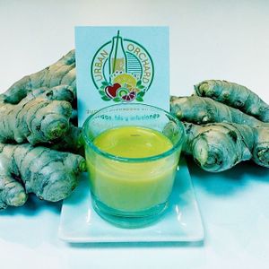 Fresh organic ginger shots!!!!! at Urban Orchard in Madrid