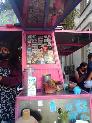 Atendiendo at Maria Bonita Veganos - Food Cart in Mexico City