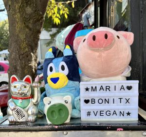 Sign #Veganuary at Maria Bonita Veganos - Food Cart in Mexico City