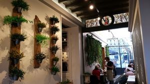 interior, one of the rooms, LPQ, Bruges at Le Pain Quotidien - Simon Stevinplein in Bruges