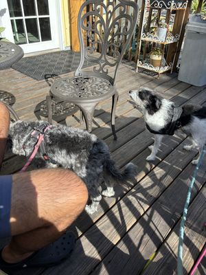   at Bunkhouse Coffee Bar in Jensen Beach