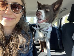   at Jewel's Bakery and Cafe in Phoenix