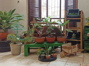  at Oasis Nelva Cafe Creperie in Havana