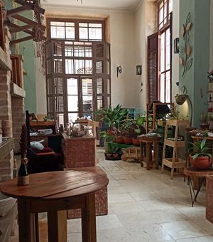  at Oasis Nelva Cafe Creperie in Havana