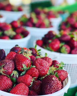 , at Farmer's Market in Raleigh