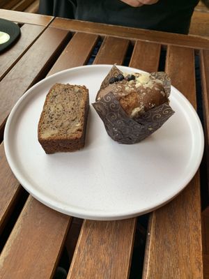   at Fancy Plants Cafe in Chicago