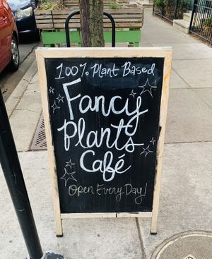   at Fancy Plants Cafe in Chicago