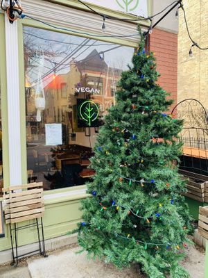   at Fancy Plants Cafe in Chicago