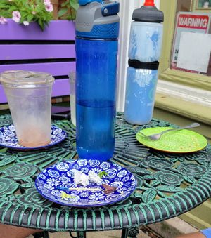 Cleaned our plates at Fancy Plants Cafe in Chicago