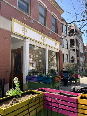 Outside  at Fancy Plants Cafe in Chicago