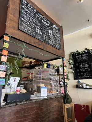 Inside counter  at Fancy Plants Cafe in Chicago