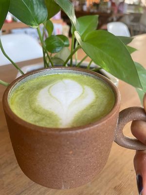  at La Raiz de la Tierra in Ixtapa