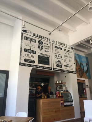 La Raíz at La Raiz de la Tierra in Ixtapa