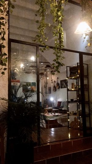 So beautiful  at La Raiz de la Tierra in Ixtapa