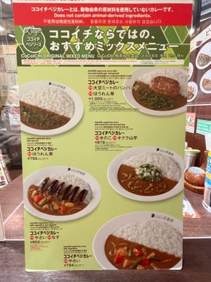  at CoCoIchi Curry House in Nara