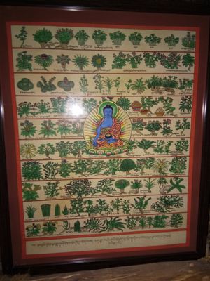 plants of nepal at Dharma Swasti in Kuilapalayam