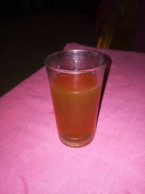 kombucha at Dharma Swasti in Kuilapalayam